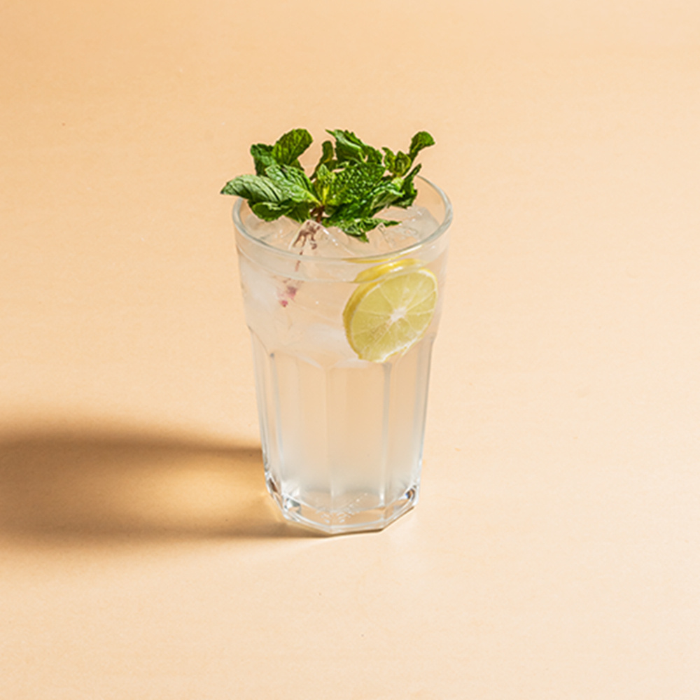 Mint Mojito